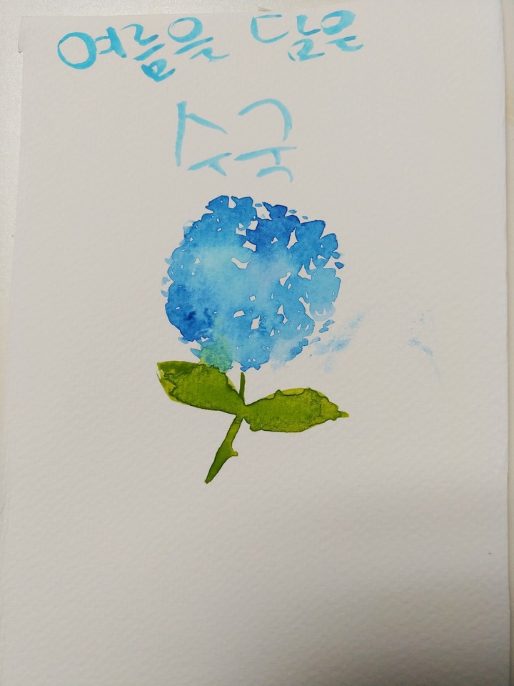 여름을 담은 수국