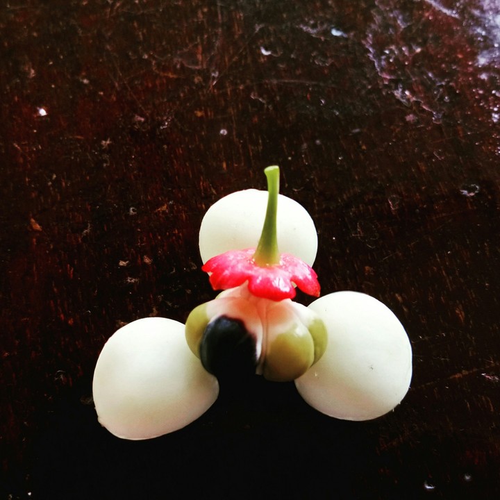 seed