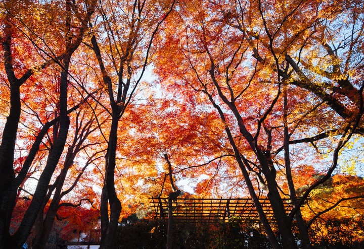 2013년 일본여행