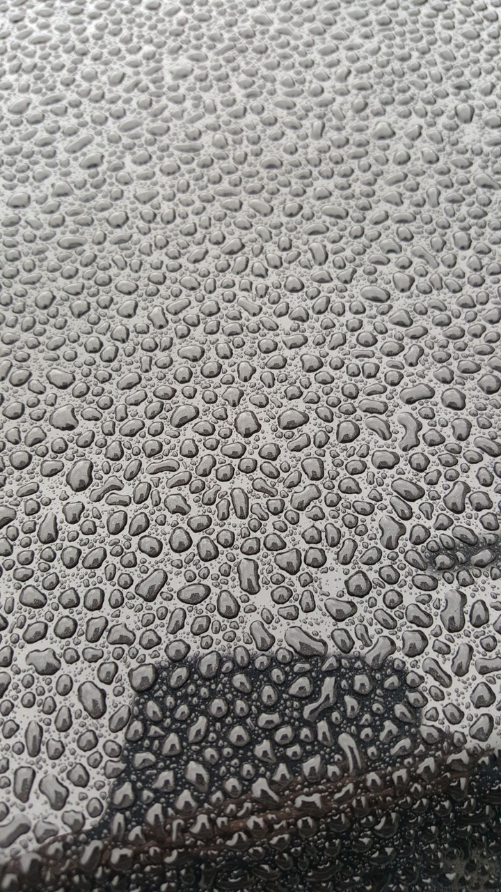 Rain