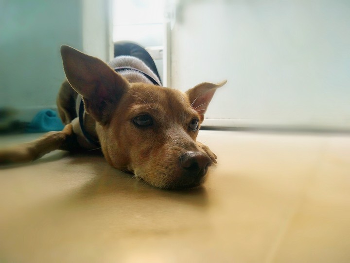 My best friend...