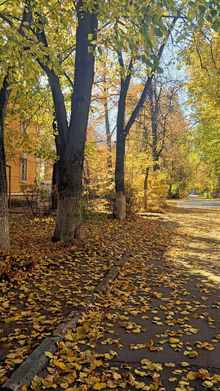 autumn
