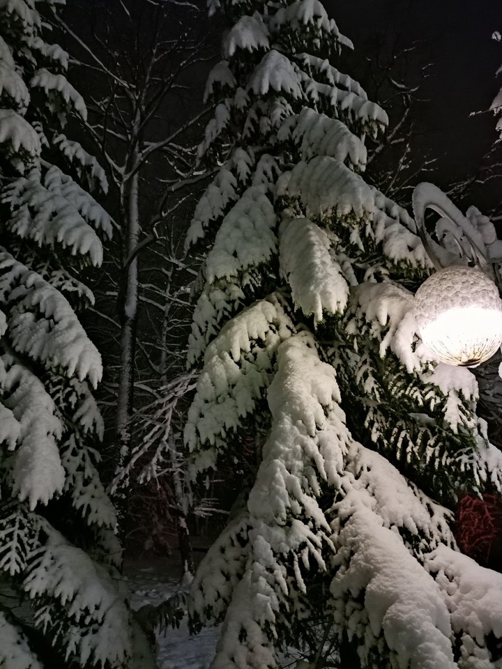 Winter