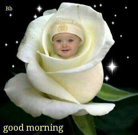 Good morning