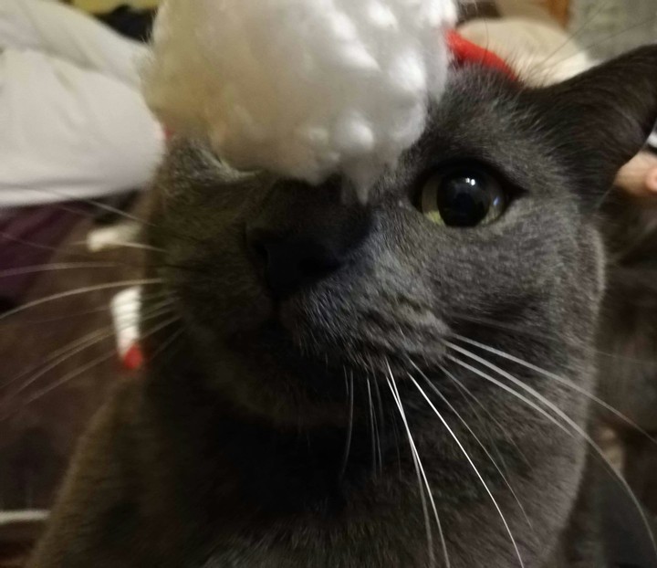 Santa Claus 