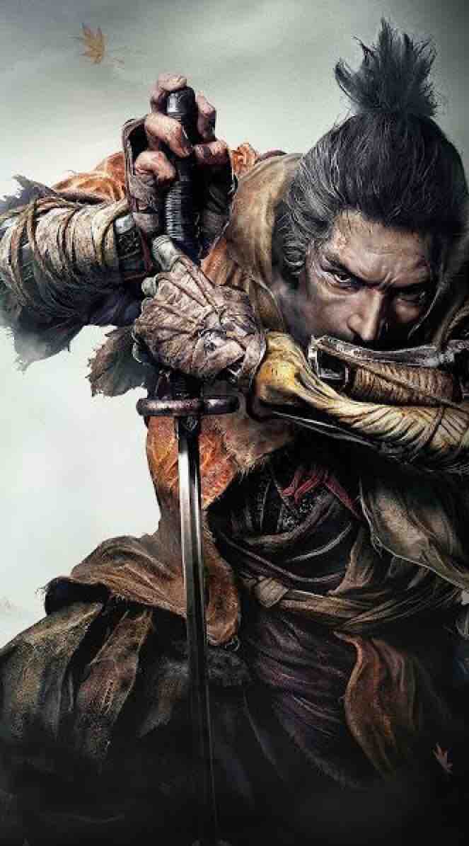 Aime samurai artwork