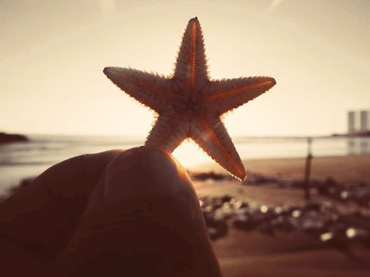 star sea