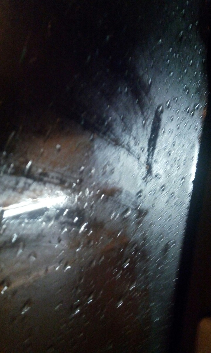 Yağmur Rain