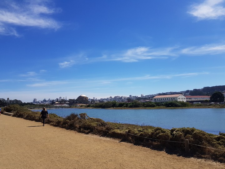 Sunny Day