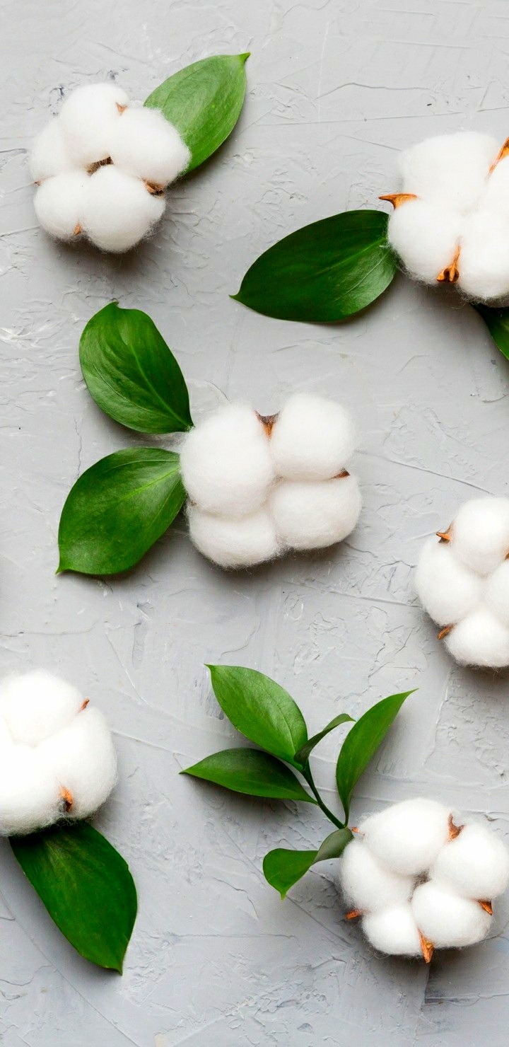 cotton