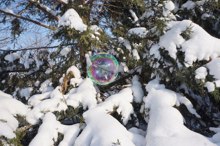Soap bubbles and snow