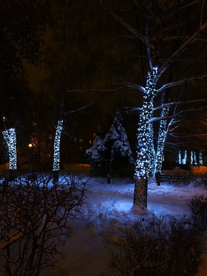 Happy New Year❄