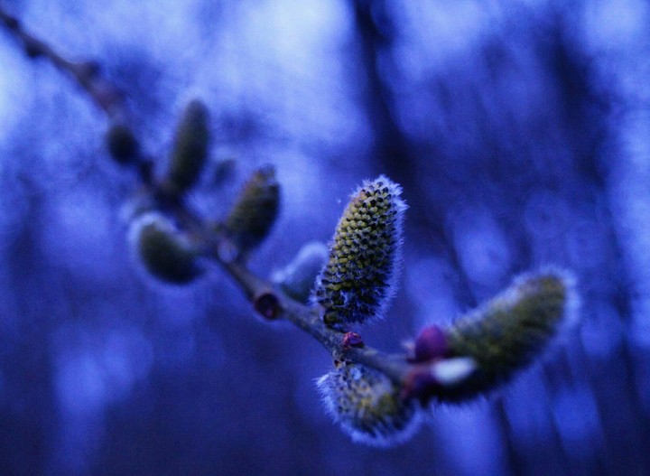 winter
