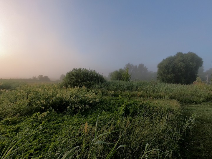Sunrise ?
