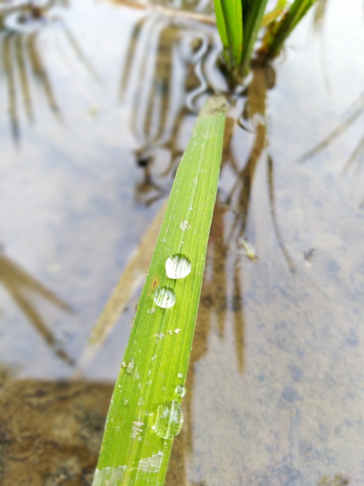 RS photography