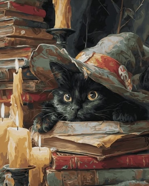 Cat, Witch_hat, Felidae