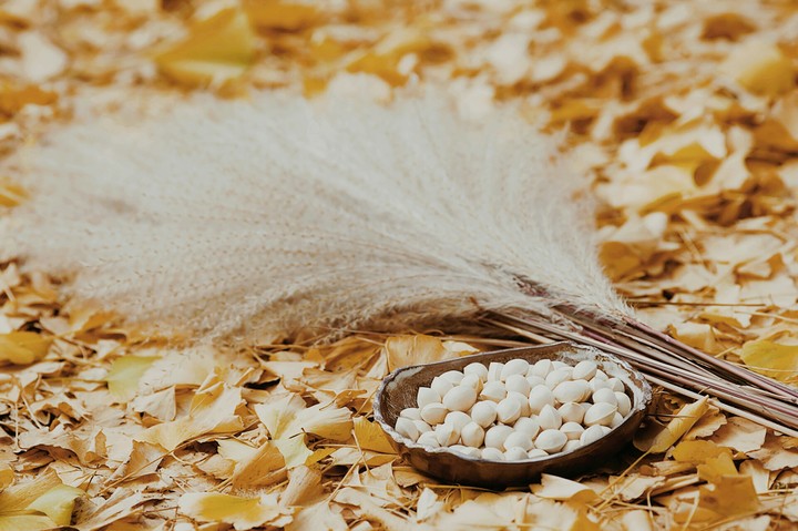 autumn