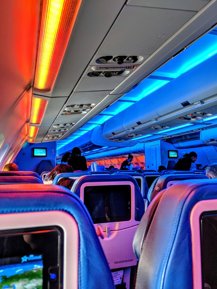from the flight