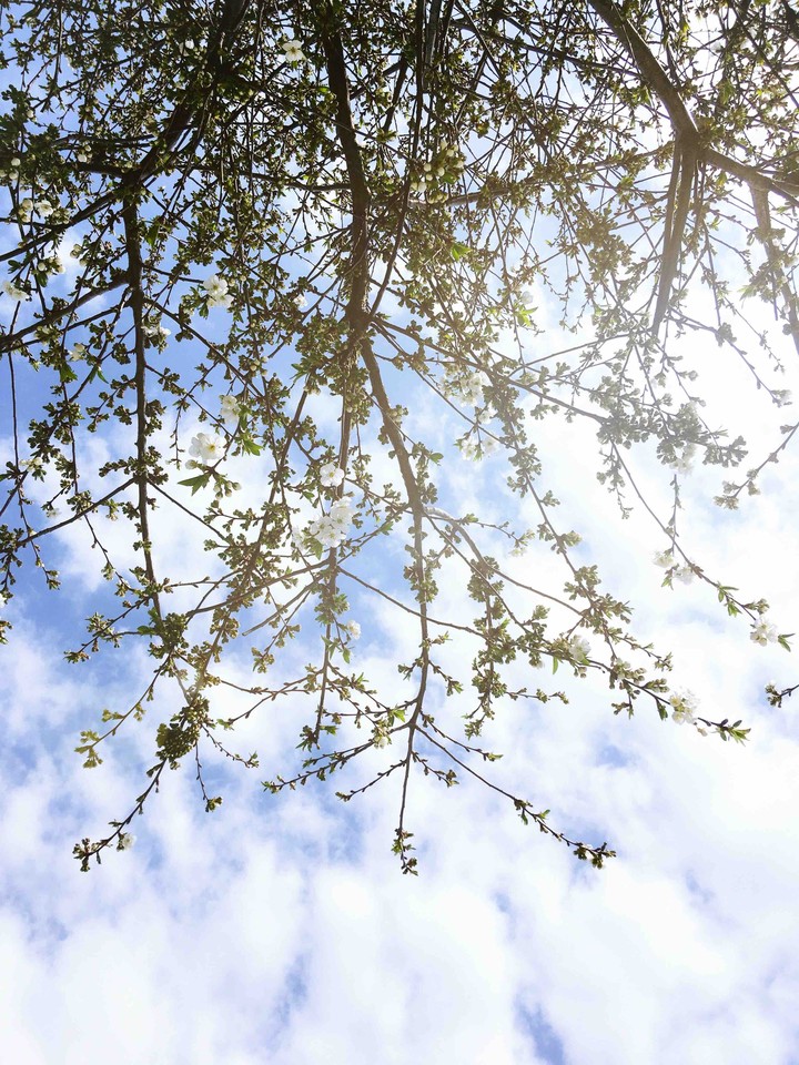 Spring