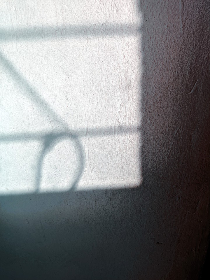 Sombras2021
