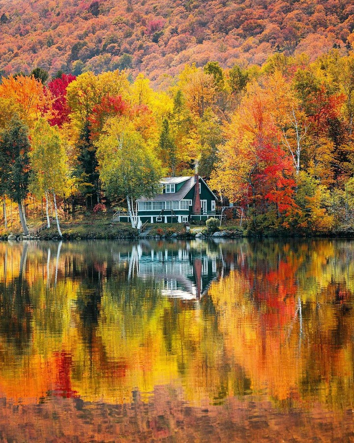 Automn