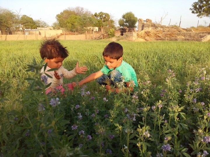 Kids