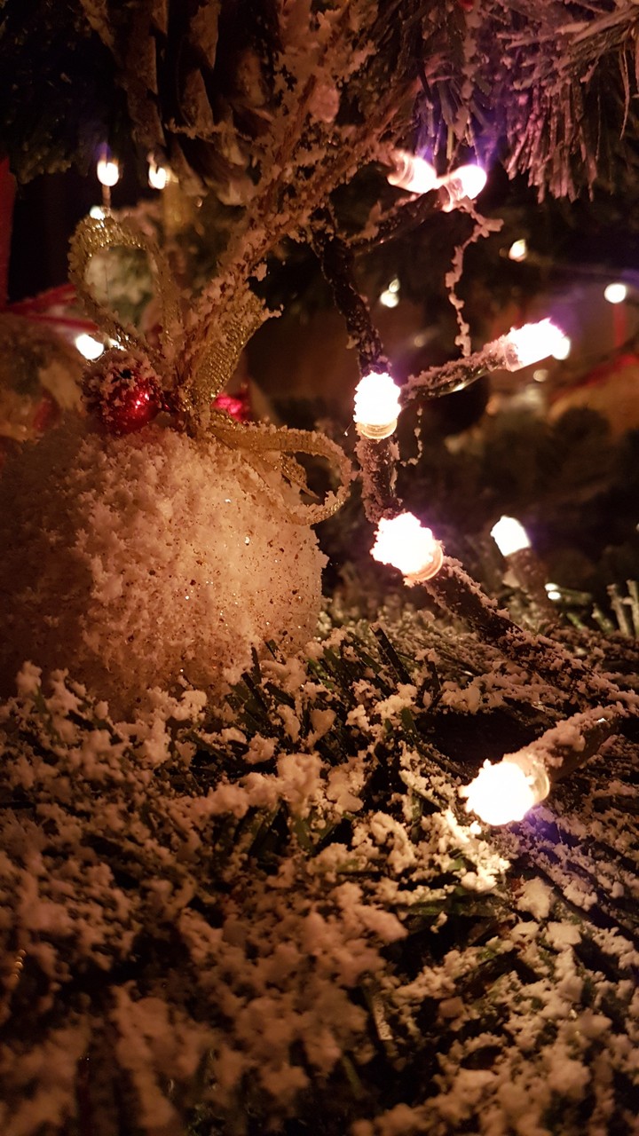 Christmas is coming