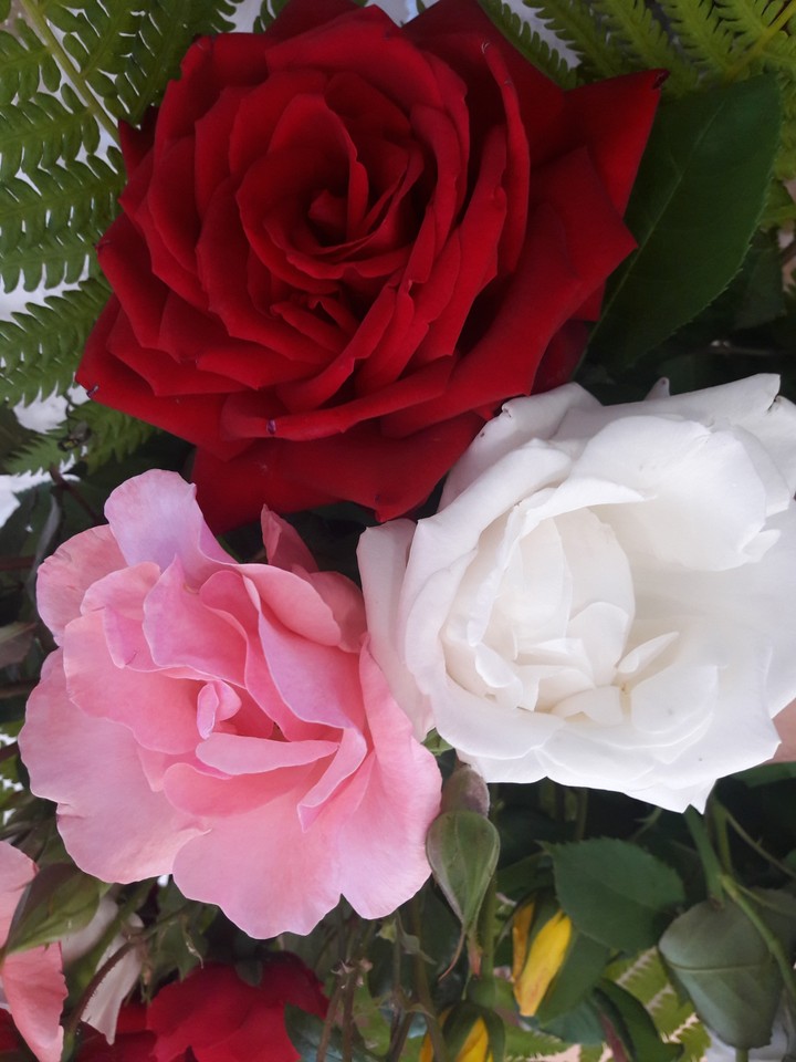TheBestFlowers
