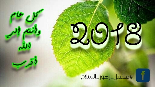 #مشتل_زهور_السلام