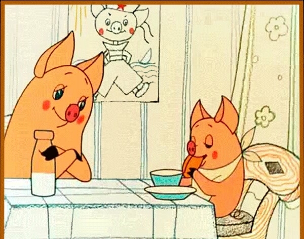 piggy in the morning