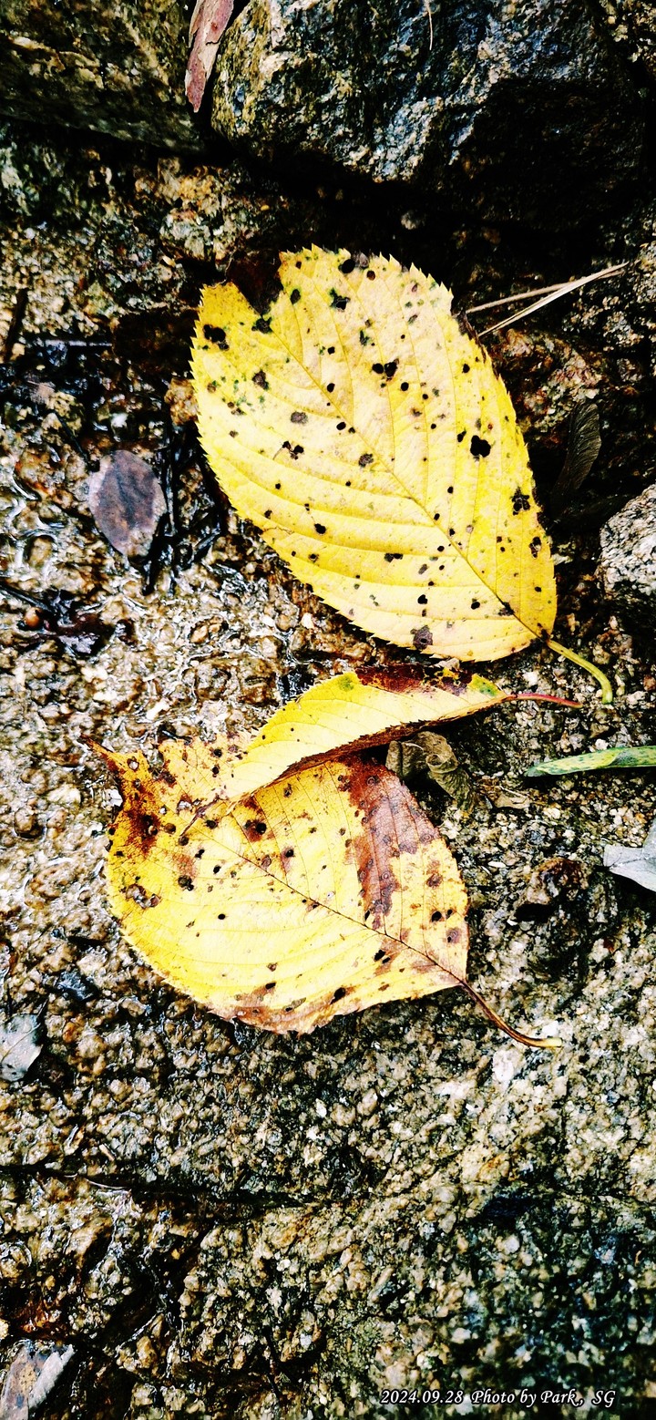 .