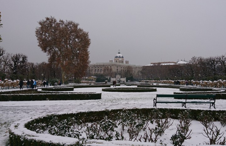 Volksgarten, Vienna Austria