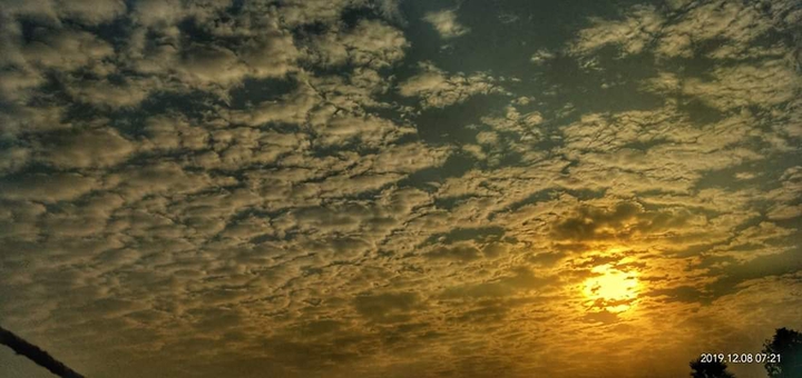 yellow sun