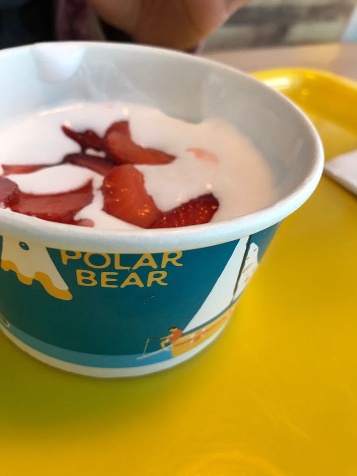 bear the Bear