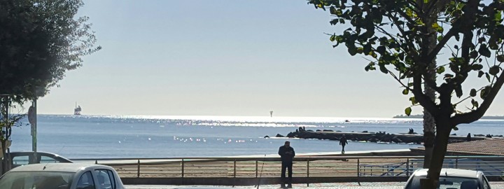 mare