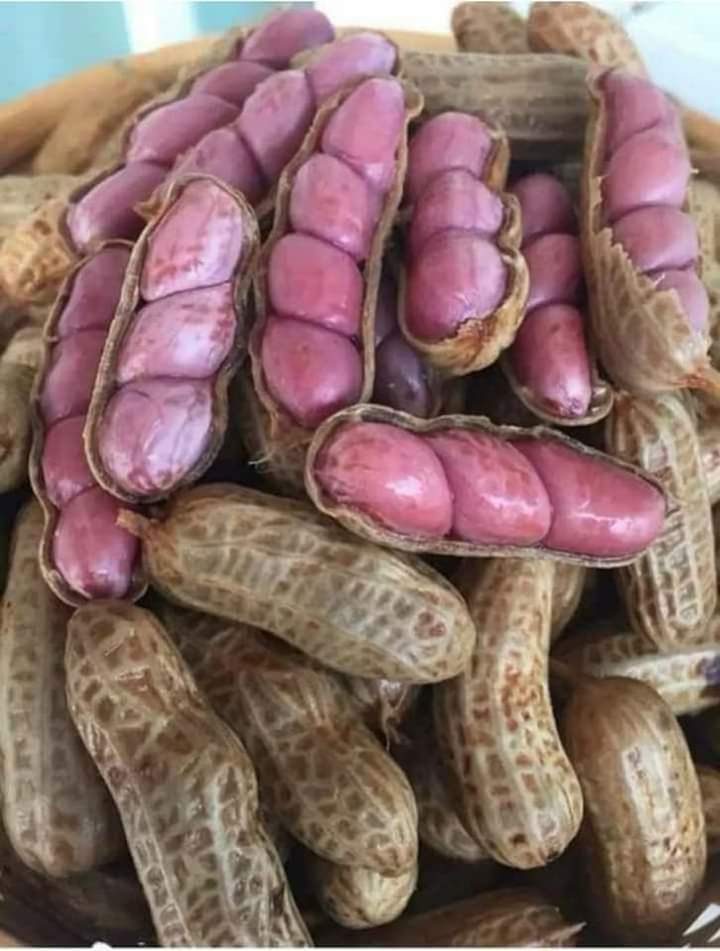 Amendoins para todos vocês meus amigos queridos