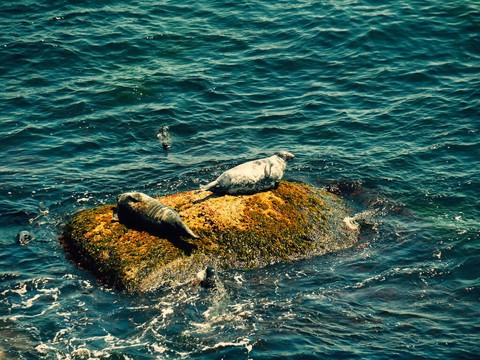 hình nền coast, Water