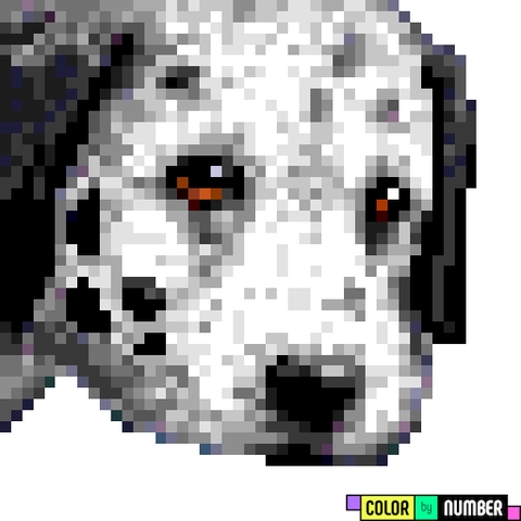 o cachorro