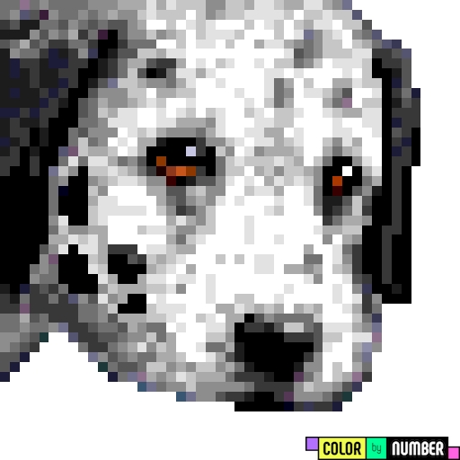 o cachorro