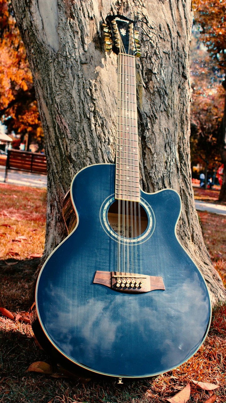 guitar