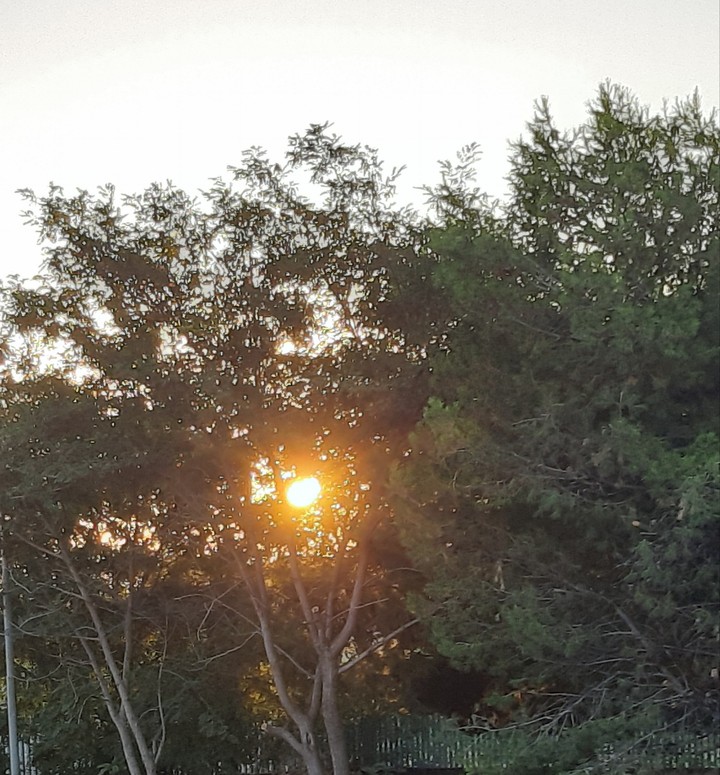 sunset