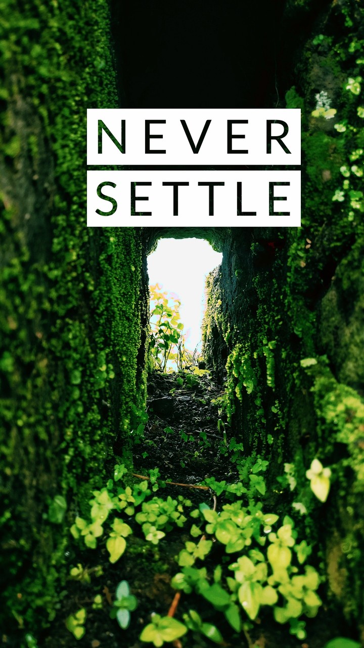 never settle -sinhgadh fort viewpoint