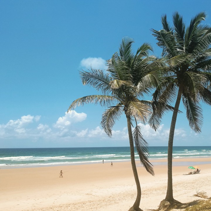 Praia da Fortaleza Salvador BA