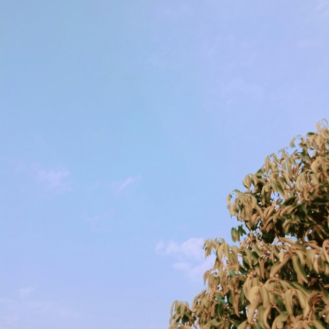 天空