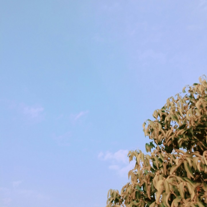 天空