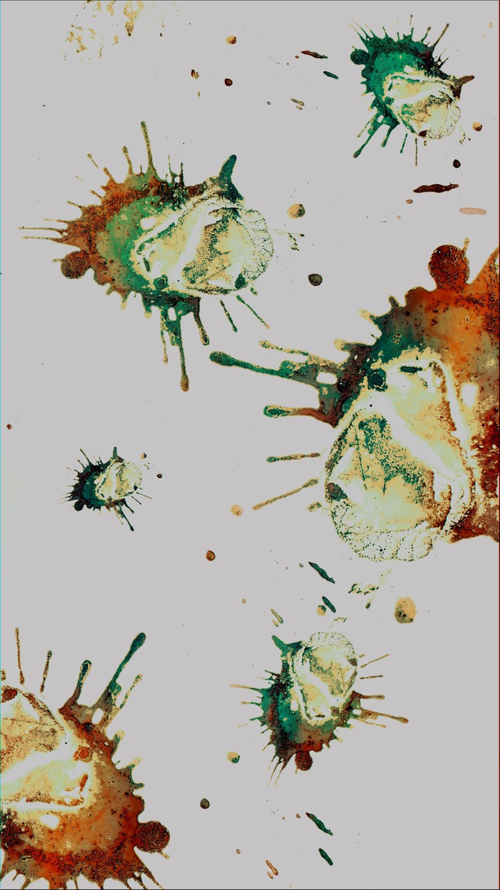 stain