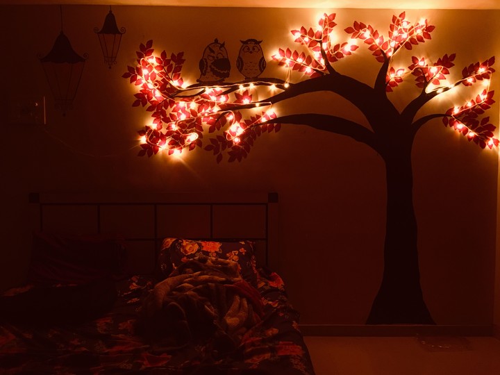 lights