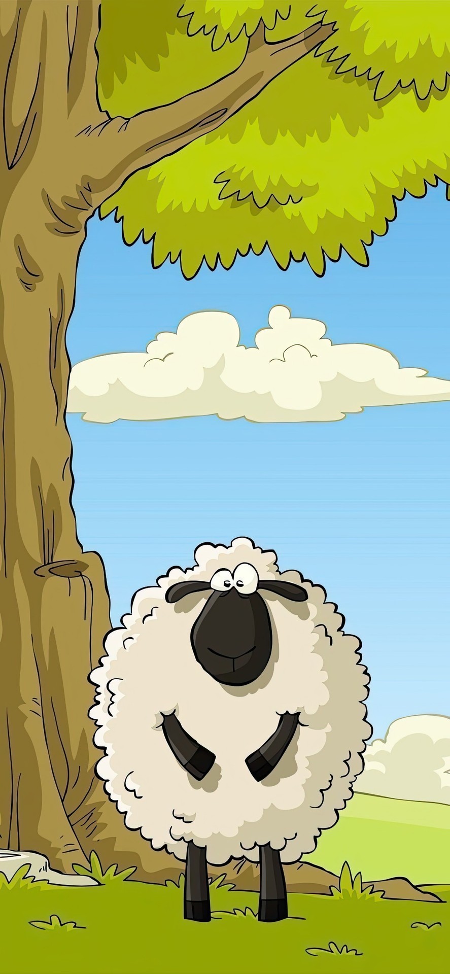 тапети ovis, sheep