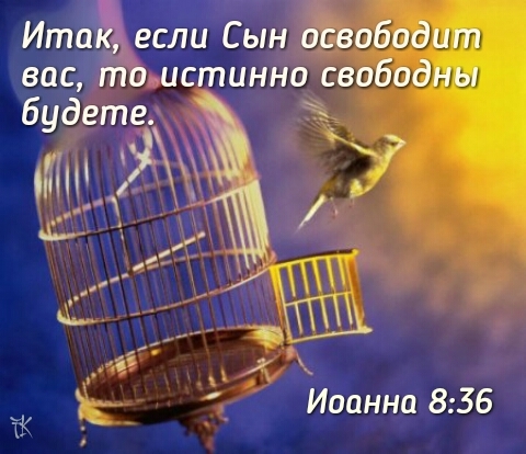 FREEDOM