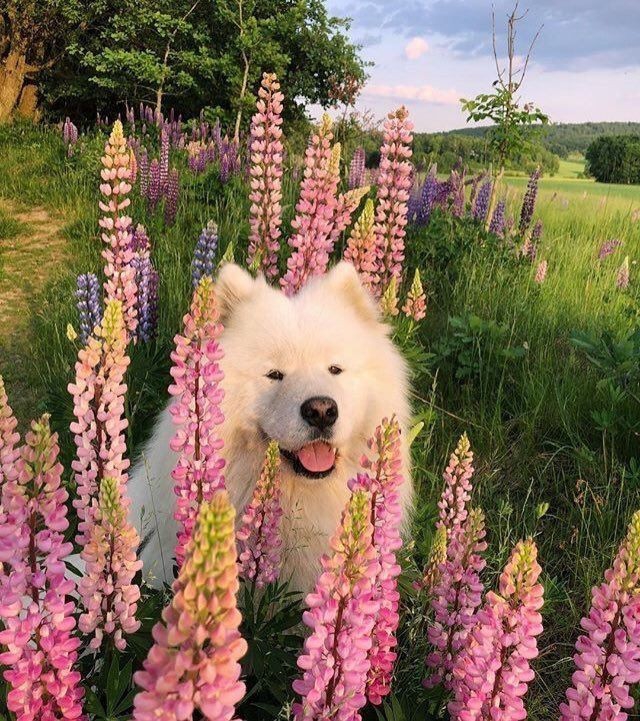 Beautiful wallpaper